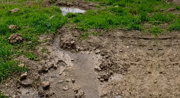 Новости Севастополя - 