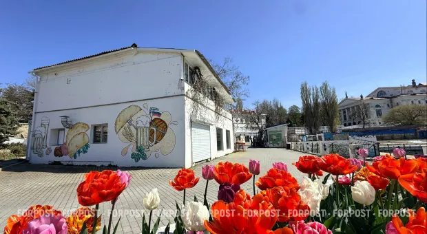 Новости Севастополя - 