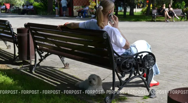 Новости России - 