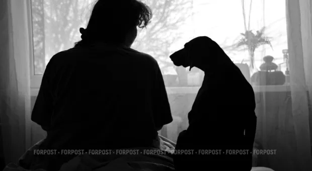 Новости России - 