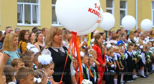 Новости Севастополя - Новая схема мошенников стала главной угрозой для пользователей Android