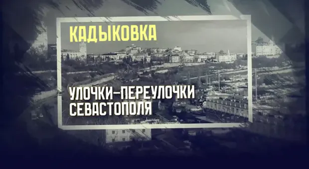 Новости Севастополя - Как заводчики наживаются на больных животных и что делать хозяевам