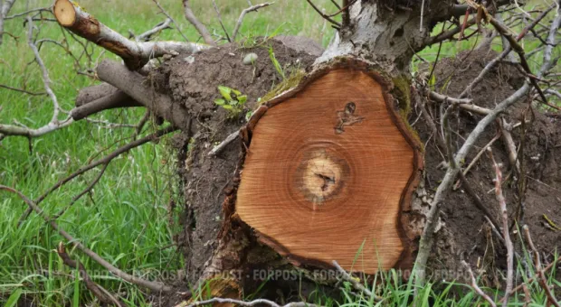 Новости Севастополя - 