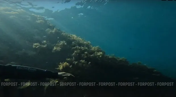 Мировые новости - Дата, без которой не было бы Севастополя