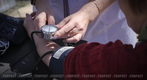 Новости России - Пять видов сморчков и опасный двойник: гид по крымским грибам от миколога