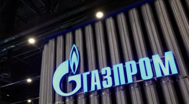 Мировые новости - Могут ли севастопольцев оштрафовать за высадку цветов у дома