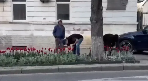 Новости Севастополя - Обязательный ДНК‑тест: защита детей или вторжение в семью?