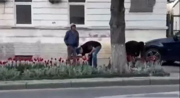 Новости Севастополя - 