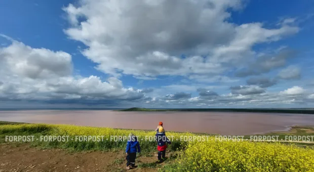 Новости Крыма - 