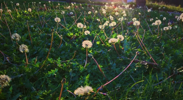 Новости Севастополя - В МВД предупредили об угрозе взлома роутеров и предложили тест безопасности Wi-Fi