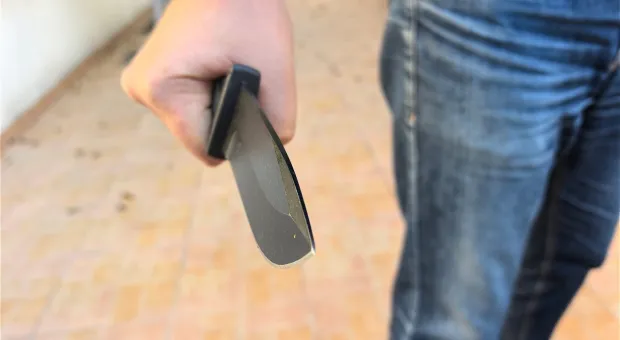 Новости России - Крымское предприятие отсудило почти 4 миллиона у самоуправца с бензопилой