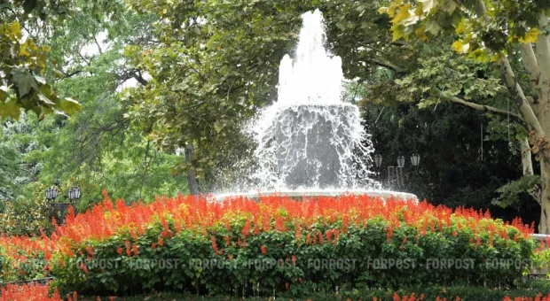 Новости Севастополя - 