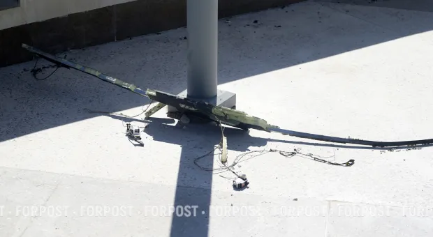 Новости Севастополя - Microsoft улучшает Windows 11 — теперь система поможет снизить усталость глаз с помощью цветовых фильтров