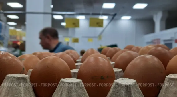 Новости Севастополя - 