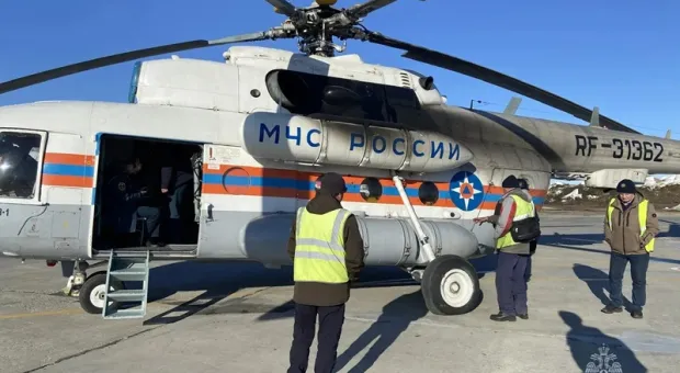 Новости России - Кенгуру, лемуры и антилопы устроили в Крыму экзотический бэби-бум 