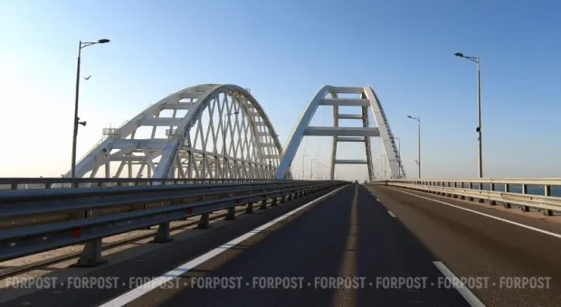 Новости Крыма - В Севастополе для спасения дельфинов выделяют землю в Омеге