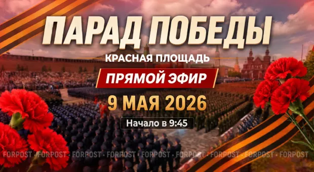 Новости Севастополя - 