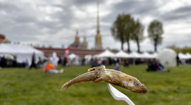 Новости России - 