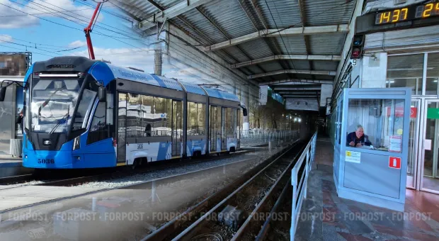 Новости Севастополя - 