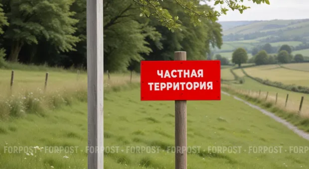 Новости Севастополя - Шампунь от линьки может навредить питомцу: кому нельзя и чем его заменить