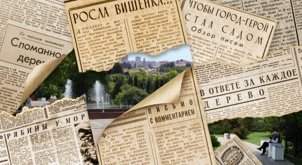 Как севастопольцы своими силами превращали Севастополь в город скверов и садов