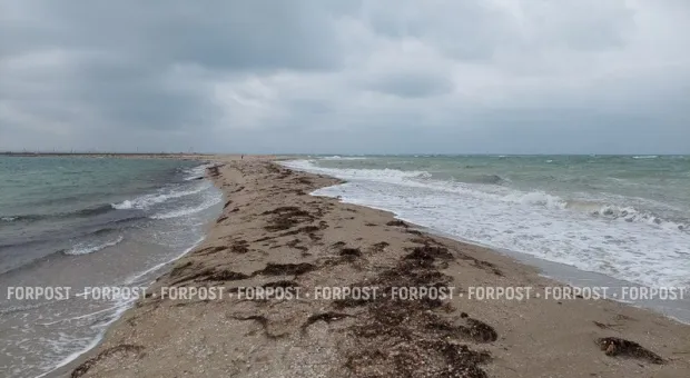 Новости Крыма - Дикие дюны на северо-западе Крыма открыли для посещения
