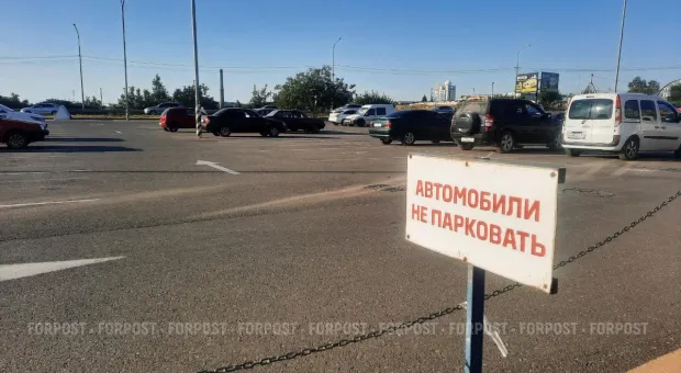 Новости России - В подводных каньонах засекли следы глубоководного «монстра» 