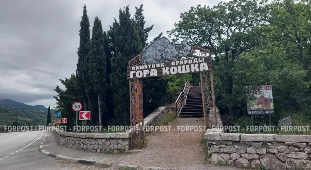 Красоты ЮБК и древняя история: чем интересна прогулка по горе Кошка в Крыму