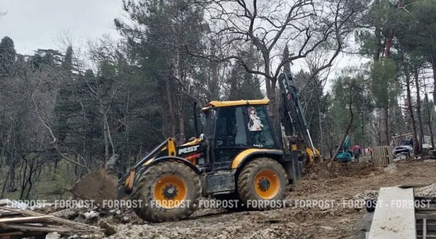 Новости Крыма - Власти Севастополя помогут выбраться из города туристам без бензина