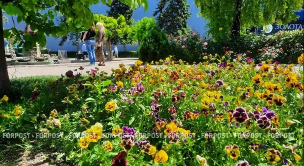 Какими будут первые летние выходные в Крыму и Севастополе