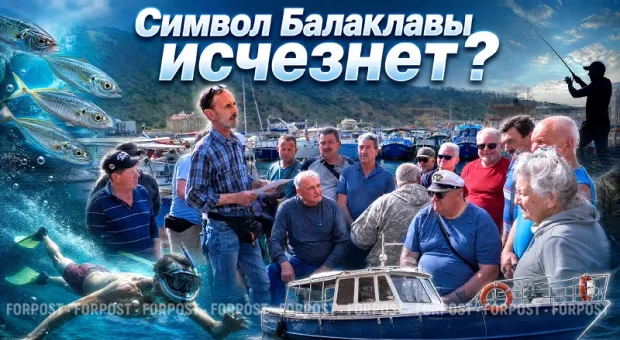 Найдётся ли в новой Балаклаве место для яликов — спецрепортаж ForPost
