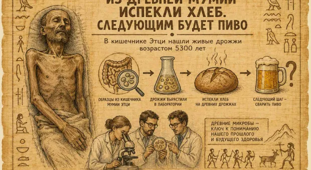 Мировые новости - 