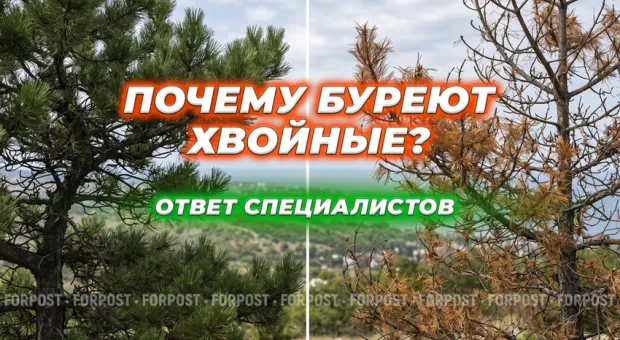 Новости Севастополя - Ночная атака БПЛА на российские регионы: трое погибших в Туле, в том числе ребёнок