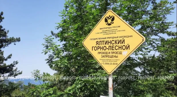 Новости Крыма - 