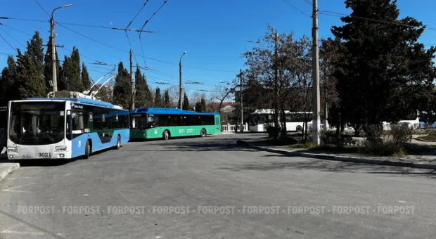 В Крыму начали восстанавливать движение по знаменитому горному троллейбусному маршруту