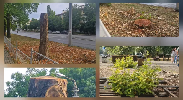 Новости Севастополя - 
