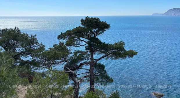 Новости Крыма - На проблемы севастопольских очистных обратил внимание Путин 