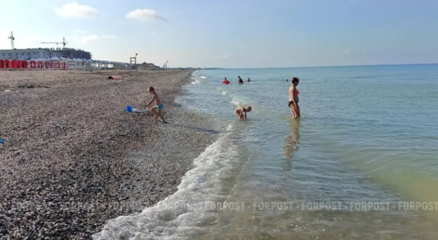 Новости Крыма - Почему на Северной стороне Севастополя исчезли сетки для сбора картона и пластика