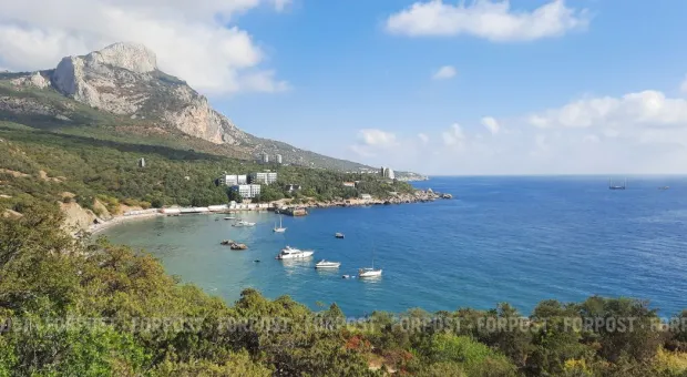 Новости Крыма - Следком проверяет резонансное ДТП в Крыму