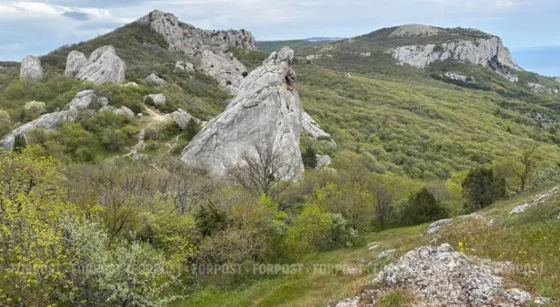 Новости Крыма - Розовое озеро, гора Опук и дикие тюльпаны