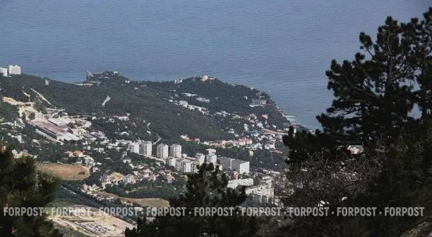 Новости Крыма - Производители смартфонов отказываются от карт памяти: названы главные причины