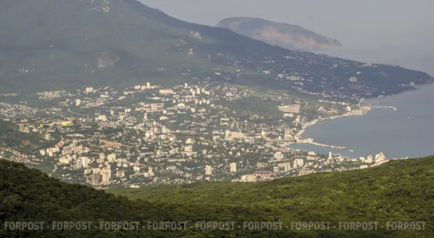 Новости Крыма - Шаха или кредитный Лексус: какие авто выбирают крымчане