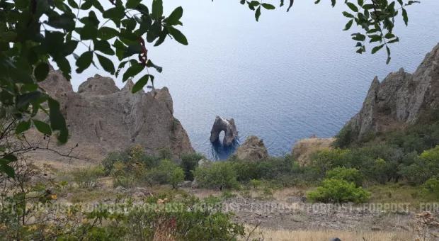 Новости Крыма - Севастополь заполонило аномальное количество бабочек