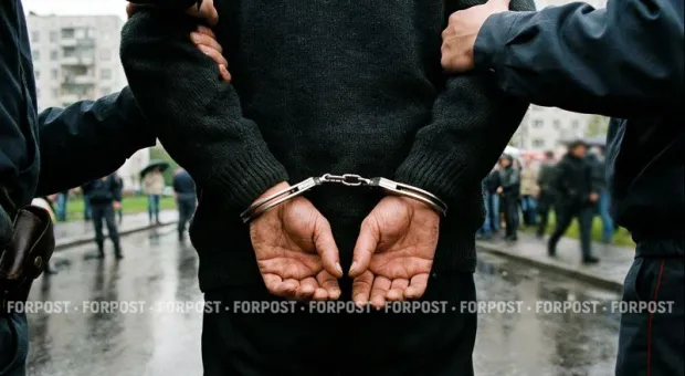 Новости Крыма - Новые правила благоустройства поставили под вопрос выгул собак в Севастополе