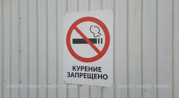 Новости Крыма - В столице Крыма запретили выгуливать собак в парках