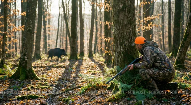 Новости Крыма - Аксенов: фотоживодерами в Крыму руководит один человек