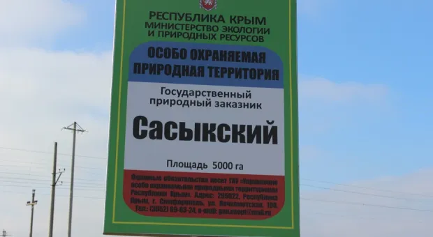 Новости Крыма - Крымский Роман-Кош попал в тройку самых популярных вершин России