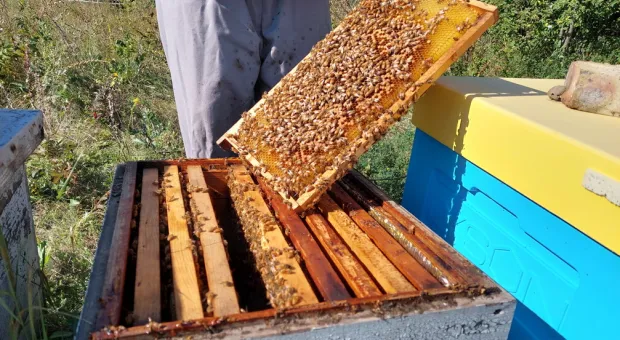 Новости России - 