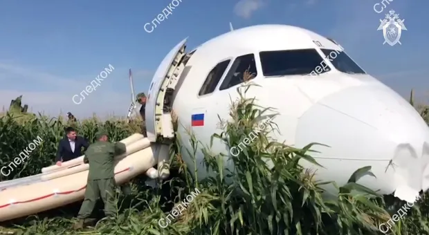 Новости Крыма - В Крыму неизвестные разбили памятник партизанам