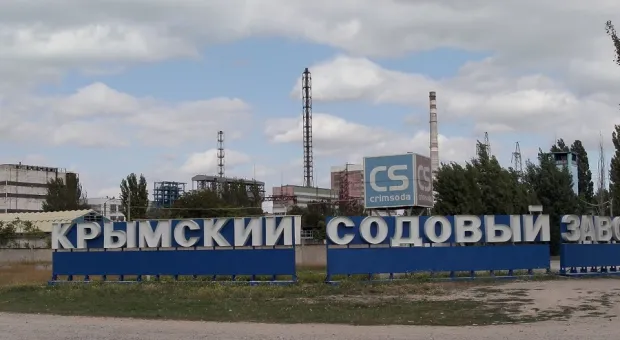 Новости Крыма - Неизвестные погибли в Крыму, врезавшись ночью в дерево